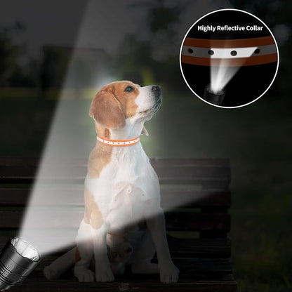 PaiPaitek Shock Collar Replacement Strap for Most of Training Collar, 3/4 Inch Dog Collar Replacement for Wireless Fence and Bark, Adjustable Waterproof TPU Collar Strap - 2 Pack for Training, Walking