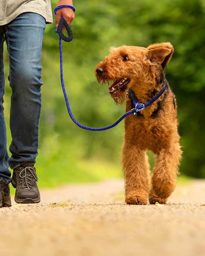TagME 6ft Slip Dog Lead, No Pull Reflective Training Leash with Padded Handle, Professional Rope P-Leash for Small Medium Large Dogs, Heavy Duty Correction Lead for Walking & Training (Navy Blue)
