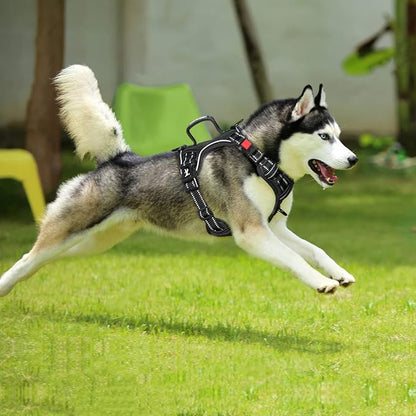 PoyPet No Pull Dog Harness, No Choke Front Clip Reflective Dog Vest with Soft Padded Vertical Handle, 3 Leash Attachments for Small Medium Large Dogs (Black,XL)