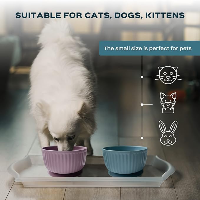 Cat Bowls with Suction Cup 13 Oz — Elevated Silicone Pet Dish with Non-Slip Bottom for Dry Food, Wet Food and Water (Salmon)