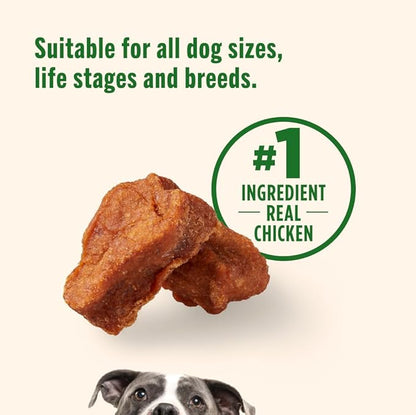 Nutrish Savory Roasters Chicken Recipe Premium Dog Treats, 5 oz. Pouch, Pack of 5 (Rachael Ray)