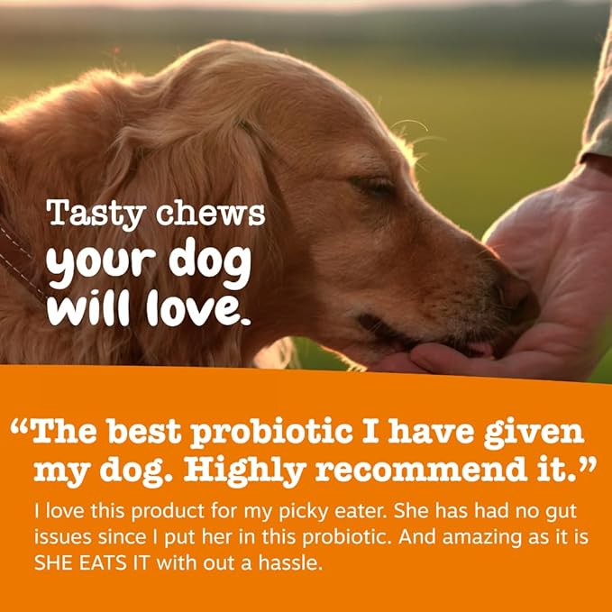 Zesty Paws Probiotics for Dogs, Digestive Enzymes Gut Flora, Digestive Health, Diarrhea & Bowel Support, DE111, Dog Probiotics Soft Chew for Pet Immune System, Chicken, 90 Ct