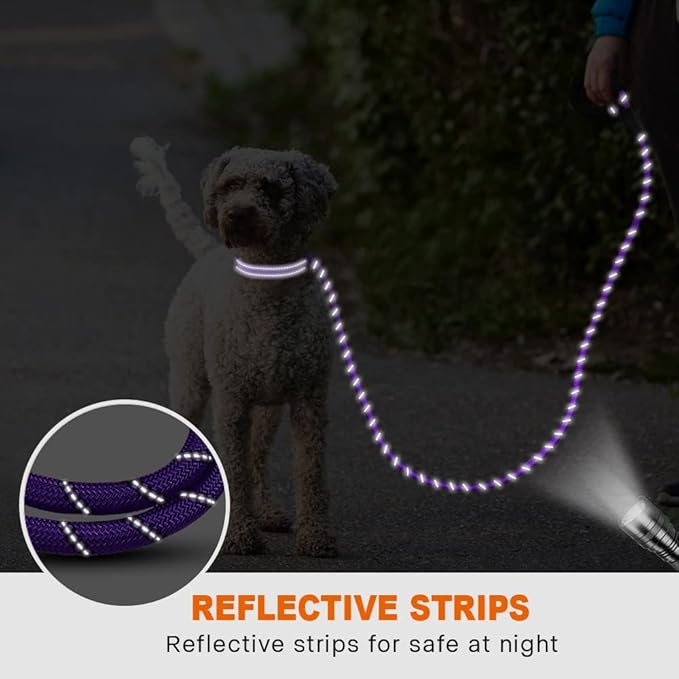 Taglory Rope Dog Leash 4 FT with Comfortable Padded Handle, Highly Reflective Threads Leash and Anti-Tangle Clip for Walking Small Dogs, 3/8 inch, Purple