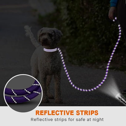 Taglory Rope Dog Leash 4 FT with Comfortable Padded Handle, Highly Reflective Threads Leash and Anti-Tangle Clip for Walking Small Dogs, 3/8 inch, Purple