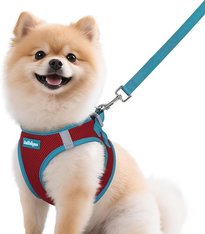 rabbitgoo Dog Harness Small Sized and Leash Set, Step-in Breathable Pet Harness, Soft Walking Reflective Puppy Vest for Small Dogs, Red & Teal, M