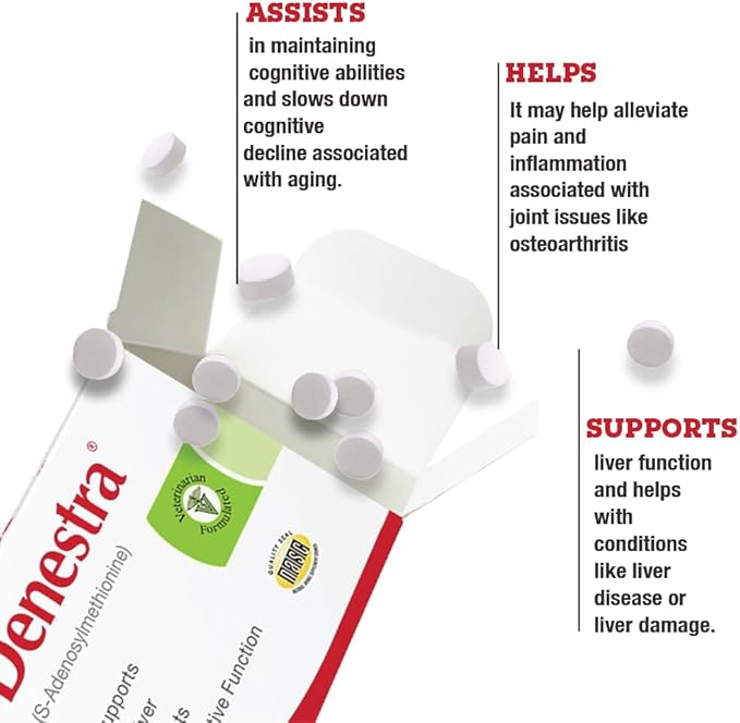 Denestra Same for Dogs – S-Adenosyl-L-Methionine (Same) – Liver, Joint & Cognitive Support for Dogs – Promotes Brain Function & Mobility – Vet-Approved Formula – 200 mg – 60 Tablets