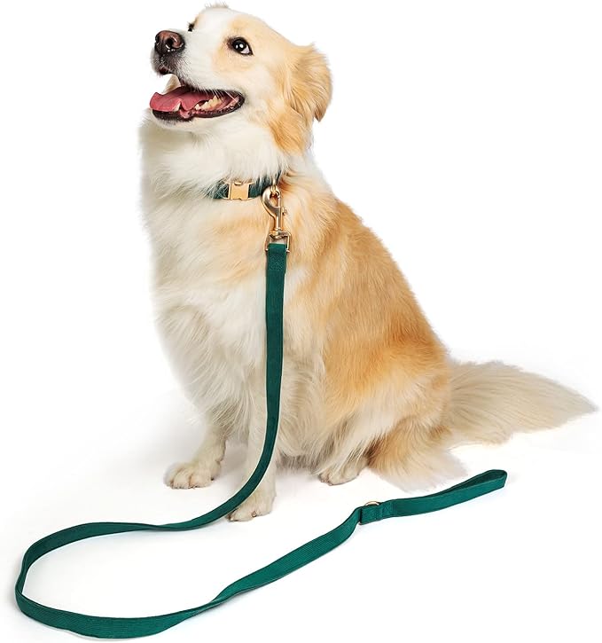 Soft Cotton Dog Leash, 5 Ft Heavy Duty Corduroy Dog Leashes with Gold Metal Hook for Small Medium Large Dogs,Medium,Dark Green