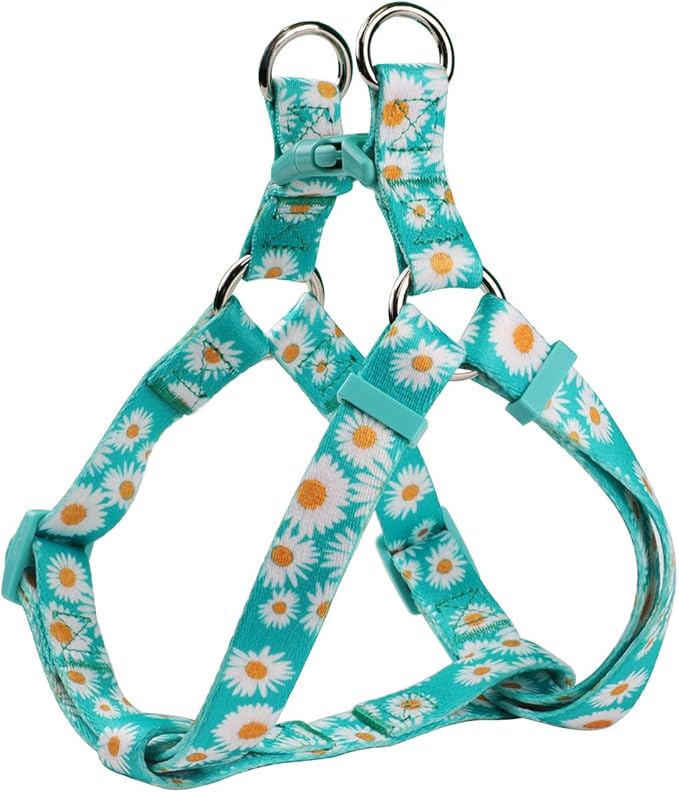 Harness and Leash Set, Floral Pattern, 5ft Matching Leash, No Pull, Easy Wear for Small Dogs.(S, Green Daisy)
