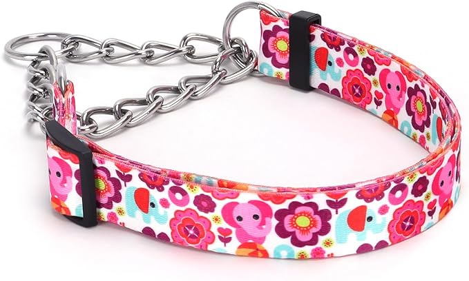 Martingale Dog Collar with Stainless Steel Chain - Limited Chain Cinch Training Collar for No Pull Training Dog - Flower Multicolor Cute Patterns - Premium No Slip Collar (HA12NO16, L)