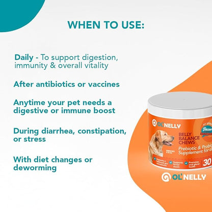Dog Probiotic Chews – Pre & Probiotics for Dogs with Pumpkin-Digestive & Gut Health Support, Helps with Diarrhea, Gas & Constipation, Bacon Flavor, 30 Soft Chews – Ol'Nelly
