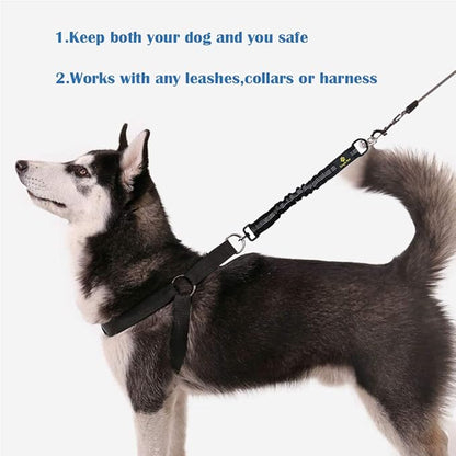 Bungee Dog Leash Extension Attachment, 18” Shock Absorbing Lead Extension Absorber, Prevent Injury on Arm and Shoulder & Save Dogs from Getting Hurt, Great for Bicycle, Running, Walking