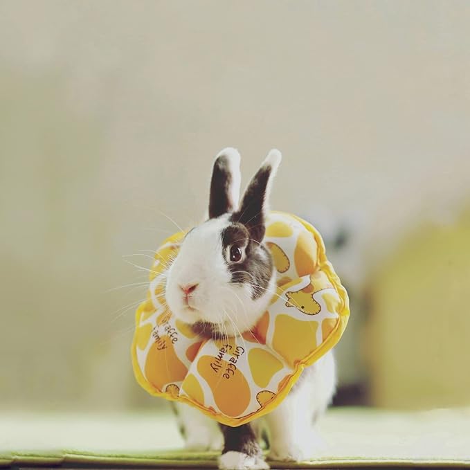Adjustable Rabbit Protection Cone Collar, Waterproof Pet Recovery Collar for Rabbit Chinchilla Guinea Pigs After Surgery Wound Healing,Elizabeth E-Collar for Small Animals (S (5.9''-9.8''), Yellow)