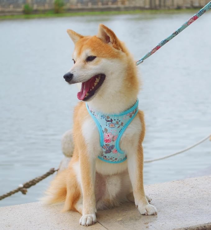 Moonpet Step in Dog Harness Leash Set- All Weather Reflective No-Pull Floral Pattern Padded Mesh Vest Harness for Cats Puppy Extra-Small Small Medium Large Dogs - Bell Orchid - XL