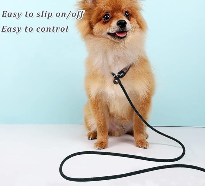 WYUZE 2-Pack 8ft Slip Lead Dog Leash, Reflective No Pull Dog Training Lead, 1/3" Nylon Rope Easy On/Off Slip Control Leash for Small Medium Dogs (Black+Orange)