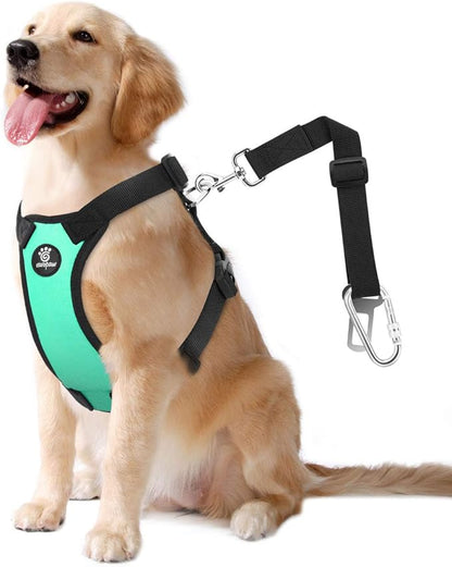 VavoPaw Dog Seat Belt, Safety Vest Dog Car Harness with Adjustable Buckle Dog Seat Belt for Vehicle Nylon Pet Safety Seat Belts Heavy Duty(L, Lake Blue)