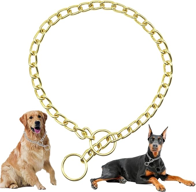 Gold Choker Collar for Medium Dogs, Metal Slip Dog Chain Collars, Heavy Duty Training Martingale Dog Collars for XXS XS Small Medium Large Breed Pets, Small