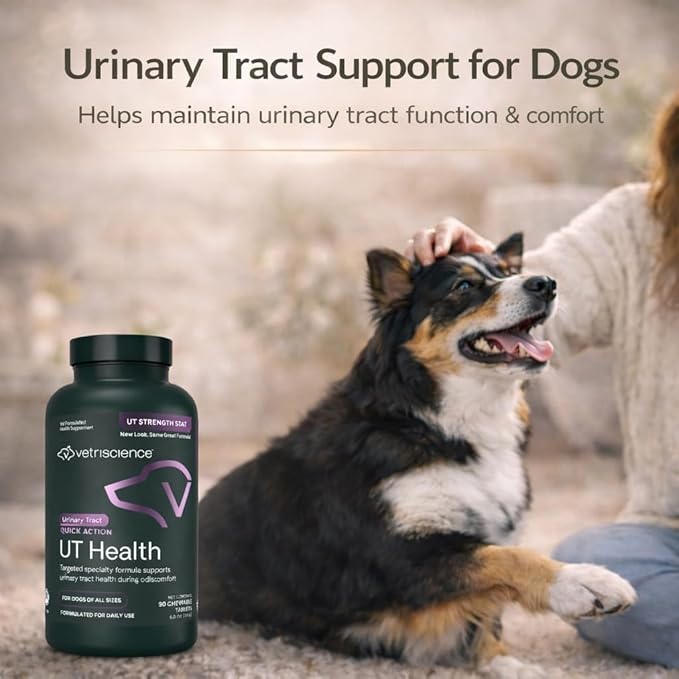 VetriScience Quick Action UT Health Chewable Tablets, UT Strength STAT Supplement for Dogs, Cranberry, Uva Ursi, and Chanca Piedra to Soothe Urinary Tract Discomfort, Smoke, 90 Count