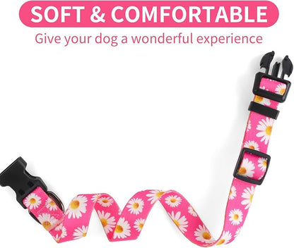 QQPETS Adjustable Soft Dog Collar: Print Flower Pink Multicolor Cute Patterns for XS Small Medium Large Pet Girl Boy Puppy Walking Running Training (M, Small Daisies)