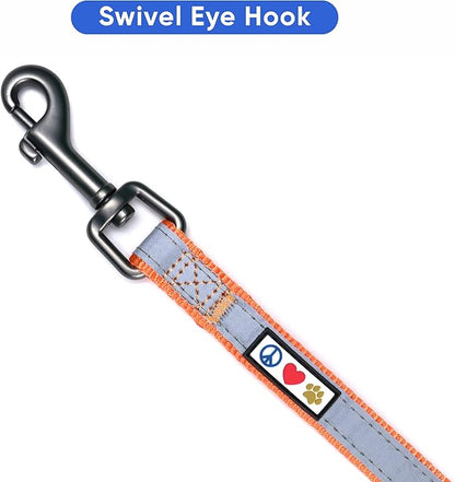Pawtitas Personalized Orange Dog Leash 6 ft Custom ID Lead for Dogs & Puppies Reflective Comfortable Padded Handle Embroidered Name & Phone Number