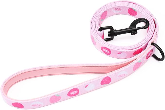 Dog Harness and Leash Set, Adjustable Dog Harness, Dog Leash, No Pull No Choke Puppy Harnesses for Walking Training for Small Medium Pet (Strawberries, M(Chest 15.7-22.1", Neck 12-15"))