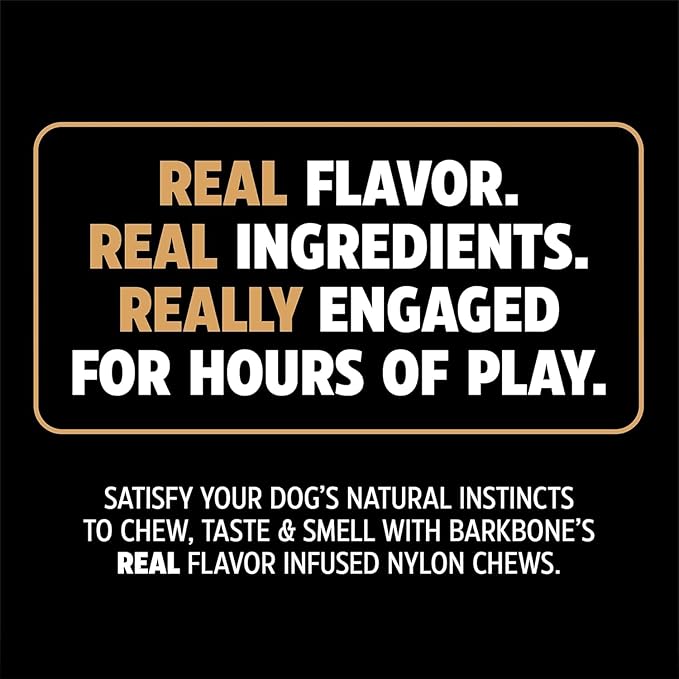 Pet Qwerks Dinosaur BarkBone, Nylon Dog Bone for Aggressive Chewers Chew Dog Toy, Bacon Flavor - Medium 8.5"