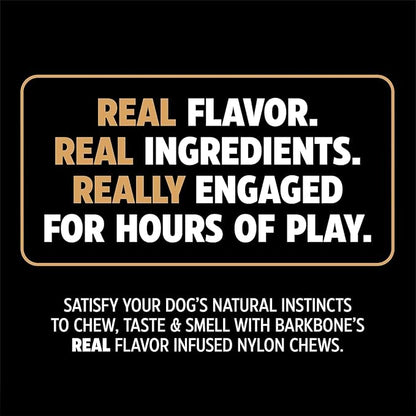 Pet Qwerks Dinosaur BarkBone, Nylon Dog Bone for Aggressive Chewers Chew Dog Toy, Bacon Flavor - Medium 8.5"