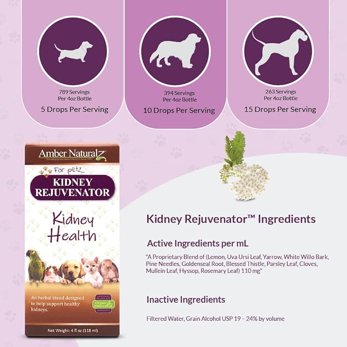 Amber NaturalZ Kidney Rejuvenator Herbal Supplement for Dogs, Cats, Birds, Rabbits, and Guinea Pigs | Supports Normal Kidney Function | Natural Aid for Kidney Health 4 Fluid Ounces