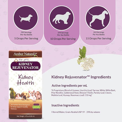 Amber NaturalZ Kidney Rejuvenator Herbal Supplement for Dogs, Cats, Birds, Rabbits, and Guinea Pigs | Supports Normal Kidney Function | Natural Aid for Kidney Health 4 Fluid Ounces