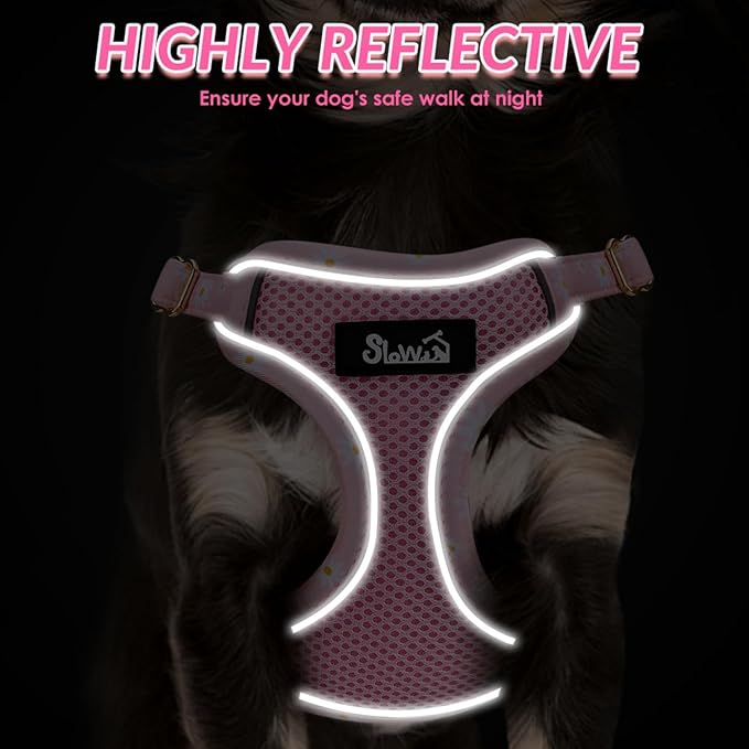 SlowTon Small Dog Harness - No Pull Dog Harness and Leash Set, Soft Mesh Lightweight Puppy Vest Harnesses, Adjustable Pet Harnesses for XXS XS Small Medium Easy Walk Hiking (Pink, M)