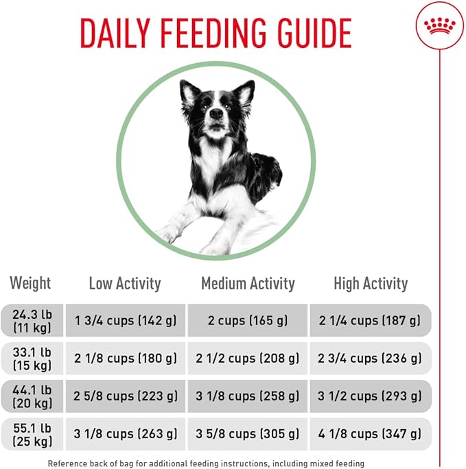 Royal Canin Canine Care Nutrition Medium Digestive Care Adult Dry Dog Food, 30 lb Bag