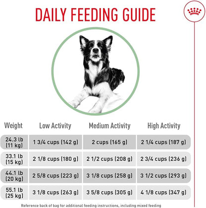 Royal Canin Canine Care Nutrition Medium Digestive Care Adult Dry Dog Food, 30 lb Bag