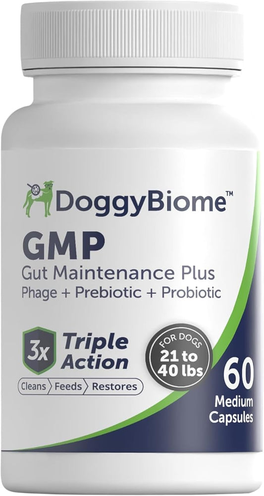 Animal Biome Probiotics for Dogs with S Boulardii, Gut Maintain (60 Capsules) – Triple-Action Medium Dog Probiotics, Prebiotics & Phage Supplements for Gut Health, Firmer Stool & Diarrhea Support