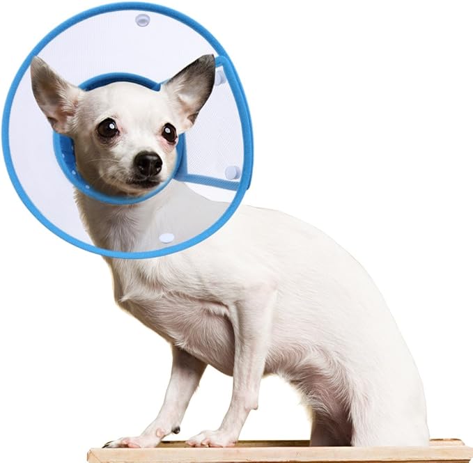 Cat Cone Collar, to Stop Licking, Recovery Elizabethan After Surgery, Clear Soft Neck E-Collar, Not Block Vision, for Kitten Puppy Dog Pet in Surgery Remedy - M in Blue