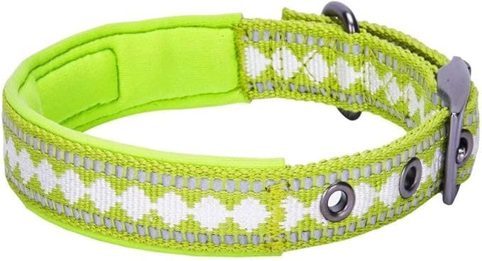 Blueberry Pet Reflective Jacquard Dog Collar with Neoprene Padding & Metal Buckle | Soft & Adjustable Safety Collar - Macaw Green, Neck 9-12.5", for Small Breed