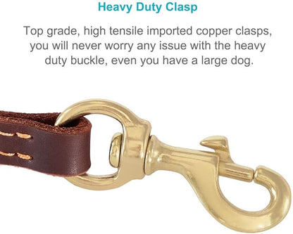 FAIRWIN Leather Dog Leash 6 Foot - Dog Training Leash Heavy Duty Dog Lead for Large Medium Small Dogs (M - 6 ft x 5/8 inch, Reddish Brown)