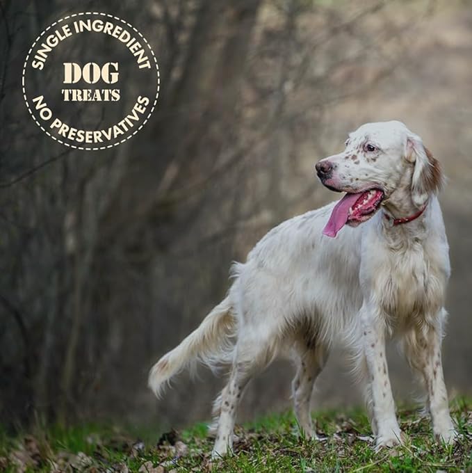 MVPChews | Freeze Dried Beef Liver Dog Treats | Single Ingredient Training Treats | High Protein, Grain Free, No Additives or Fillers | Premium Quality Food Topper | Made in USA - 3.5oz (Pack of 4)