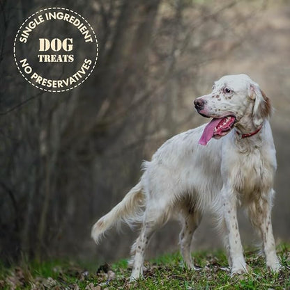 MVPChews | Freeze Dried Beef Liver Dog Treats | Single Ingredient Training Treats | High Protein, Grain Free, No Additives or Fillers | Premium Quality Food Topper | Made in USA - 3.5oz