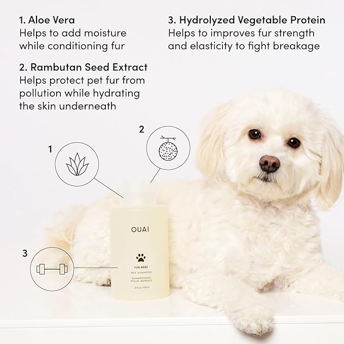 OUAI Fur Bébé Pet Shampoo - Cat & Dog Shampoo for Gentle Cleansing, Hydration & Shine - Vegan & Cruelty-Free Pet Supplies with Aloe Vera & Panthenol - Mercer Street Scent (16 Fl oz)