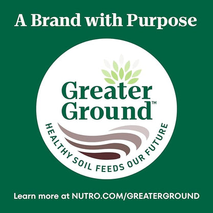 Nutro Crunchy Dog Treats with Real Peanut Butter, Training Treats for Dogs, 10 oz. Bag