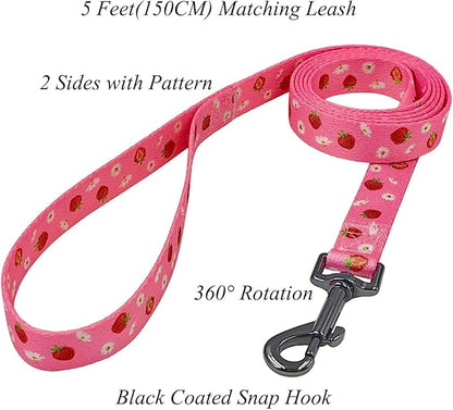 Dog Collar Leash Set, Floral Pattern, Polyester Material, Adjustable Collar and 5ft Matchcing Leash, for Small Dogs.(S, Daisy and Strawberry)