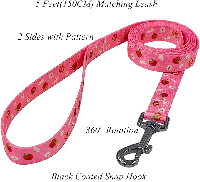 Dog Collar Leash Set, Floral Pattern, Polyester Material, Adjustable Collar and 5ft Matchcing Leash, for Puppy Dogs.(XS, Daisy and Strawberry)