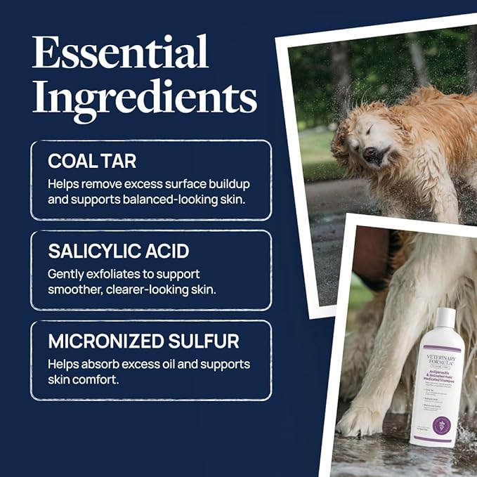 Veterinary Formula Clinical Care Antiparasitic & Antiseborrheic Medicated Dog Shampoo - Helps Support Healthy Skin and Coat, Soothes Flaky, Dry, Greasy Skin - 16 oz (Pack of 2)