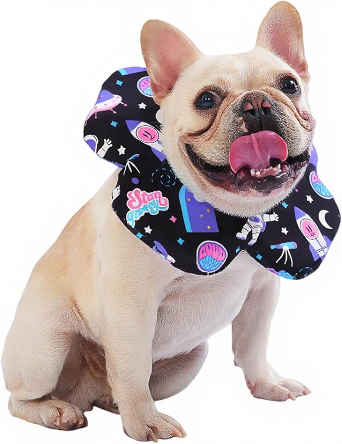 PetWarm Dog Recovery Collar, Recovery Collar for Dogs, Lightweight Soft Flower Design, Comfortable Neck Protector Helps Discourage Licking, Post-Visit Protective Collars, Cosmic Print, Purple, L