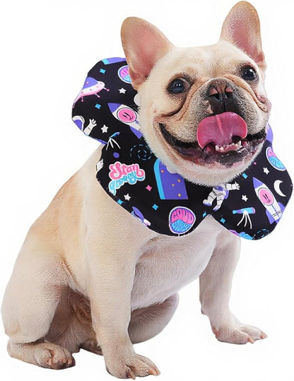 PetWarm Dog Recovery Collar, Recovery Collar for Dogs, Lightweight Soft Flower Design, Comfortable Neck Protector Helps Discourage Licking, Post-Visit Protective Collars, Cosmic Print, Purple, L