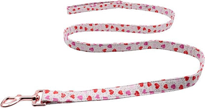 Lionet Paws Valentine's Day Dog Leash and Matching Collar for Small, Medium, Large Dogs