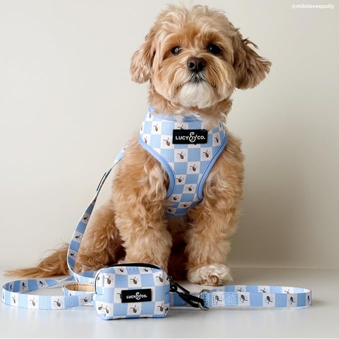 Lucy & Co. Bumbling Around Dog Leash, Durable Matching Dog Lead with Heavy Duty Hardware, Large