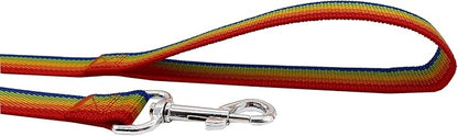 Nylon Dog Training Leash, Traction Rope, 4Ft /5 Foot /6 Feet Long, 5/8 inch 3/4 Inch 1 Inch Wide, for Small and Medium Dogs (1'' x 12 FT, Rainbow)