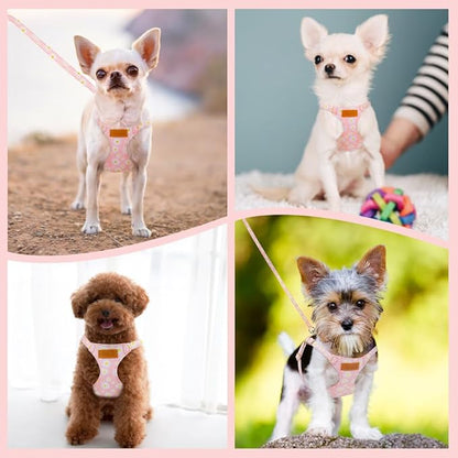 Lukovee Puppy Harness and Leash Set, No Pull Lightweight Soft Suede Adjustable Pet Harness Vest with Snap Buckle for Puppy Small and Medium Size Dog (Pink-XS)