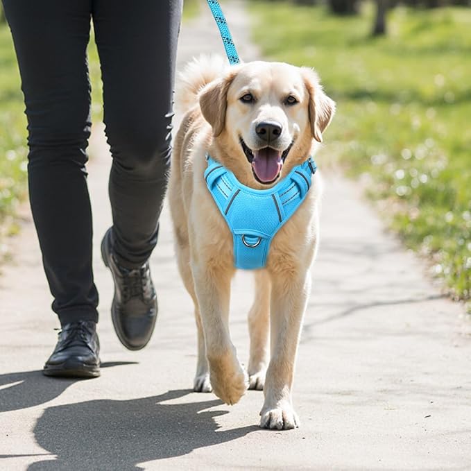 BARKBAY No Pull Dog Harness Large Reflective Dog Harness with Front Clip and Easy Control Handle for Walking Training Running with ID tag Pocket(Blue,M)