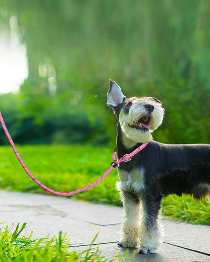 TagME 6ft Slip Dog Lead, No Pull Reflective Training Leash with Padded Handle, Professional Rope P-Leash for Small Medium Large Dogs, Heavy Duty Correction Lead for Walking & Training (Pink)